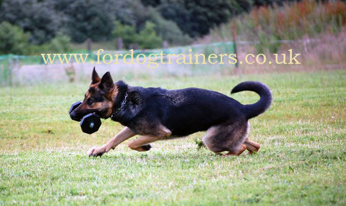 Schutzhund dog training toy